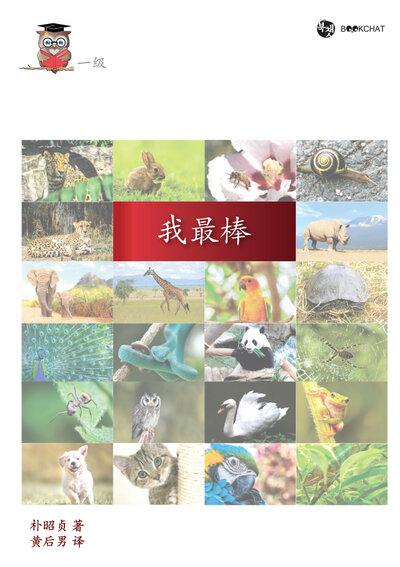 I Am The Best Cover Chinese
