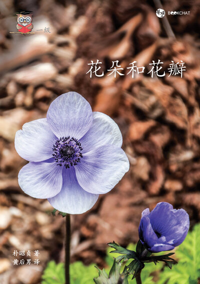Flowers and Petals Cover Chinese