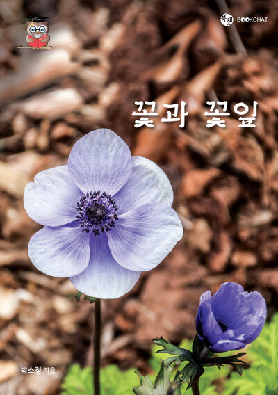 꽃과 꽃잎 Cover