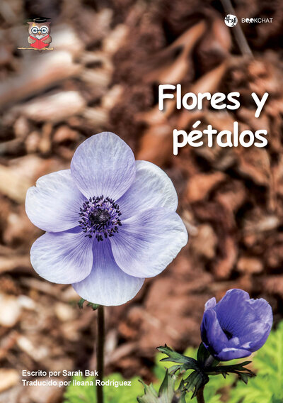 Flores y Pétalos Cover